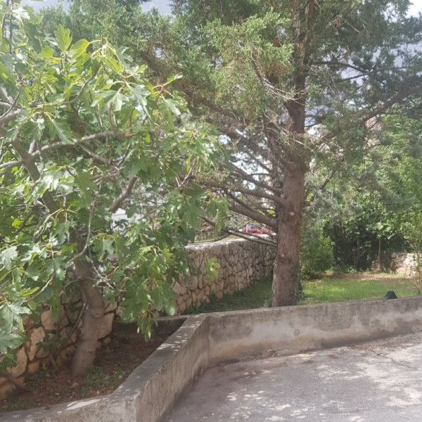 Apartments Ana, Apartments Ana Dramalj Dramalj