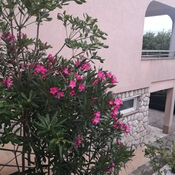 Apartments Ana, Apartments Ana Dramalj Dramalj