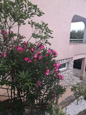 Exterior, Apartments Ana Dramalj Dramalj