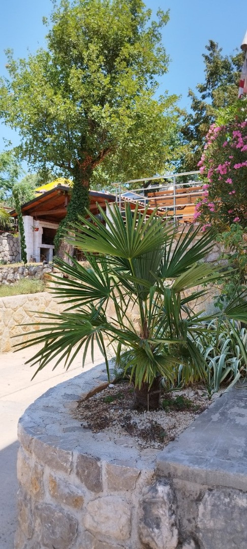 Apartments Ana Dramalj Dramalj