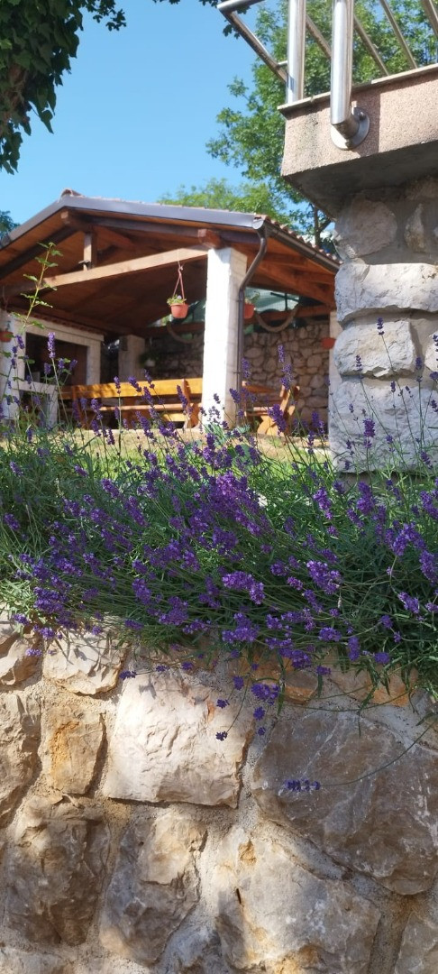 Apartments Ana Dramalj Dramalj